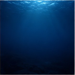 Blue Mind: Why Being Near Water Changes Your Entire Outlook