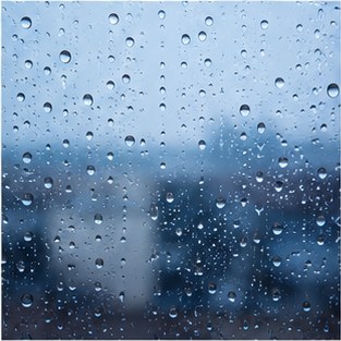 Blue Mind: Why Being Near Water Changes Your Entire Outlook