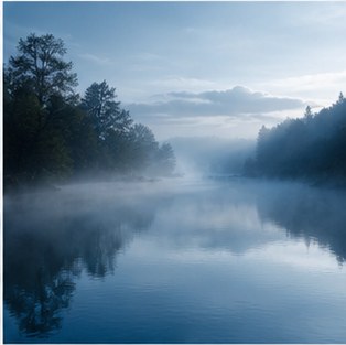 Blue Mind: Why Being Near Water Changes Your Entire Outlook