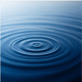 Blue Mind: Why Being Near Water Changes Your Entire Outlook