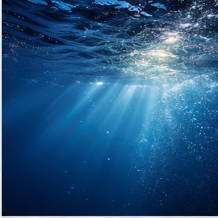 Blue Mind: Why Being Near Water Changes Your Entire Outlook