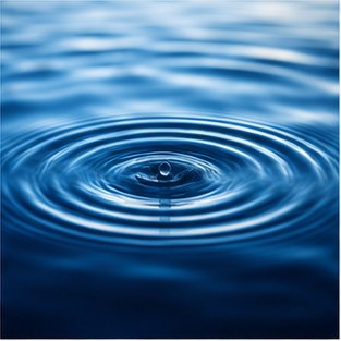 Blue Mind: Why Being Near Water Changes Your Entire Outlook