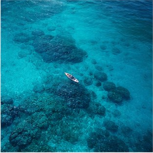 Blue Mind: Why Being Near Water Changes Your Entire Outlook