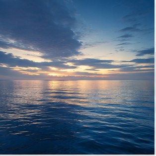 Blue Mind: Why Being Near Water Changes Your Entire Outlook