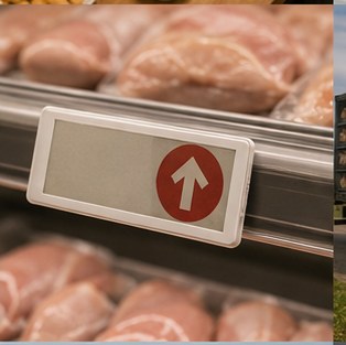 The Chicken Alert: What Every Woman Needs to Know About Bird Flu