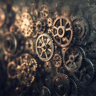 Why Your Inner Circle Shifts Every Seven Years: A Life Audit