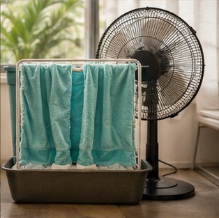 Mastering Heatwaves: Your Comprehensive Guide to Staying Cool and Healthy