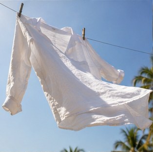 Mastering Heatwaves: Your Comprehensive Guide to Staying Cool and Healthy